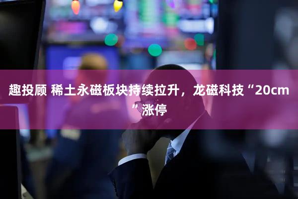趣投顾 稀土永磁板块持续拉升，龙磁科技“20cm”涨停
