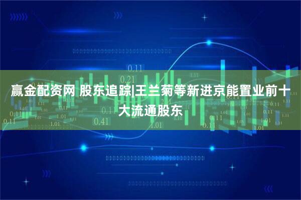 赢金配资网 股东追踪|王兰菊等新进京能置业前十大流通股东